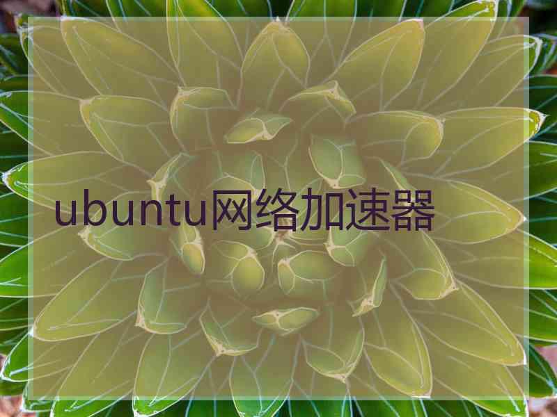 ubuntu网络加速器