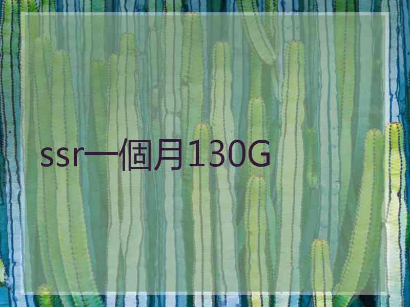 ssr一個月130G