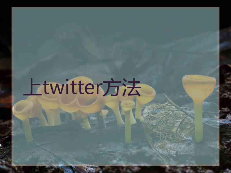 上twitter方法