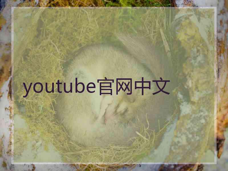 youtube官网中文