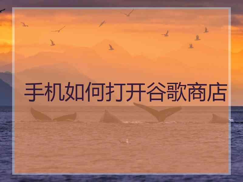 手机如何打开谷歌商店