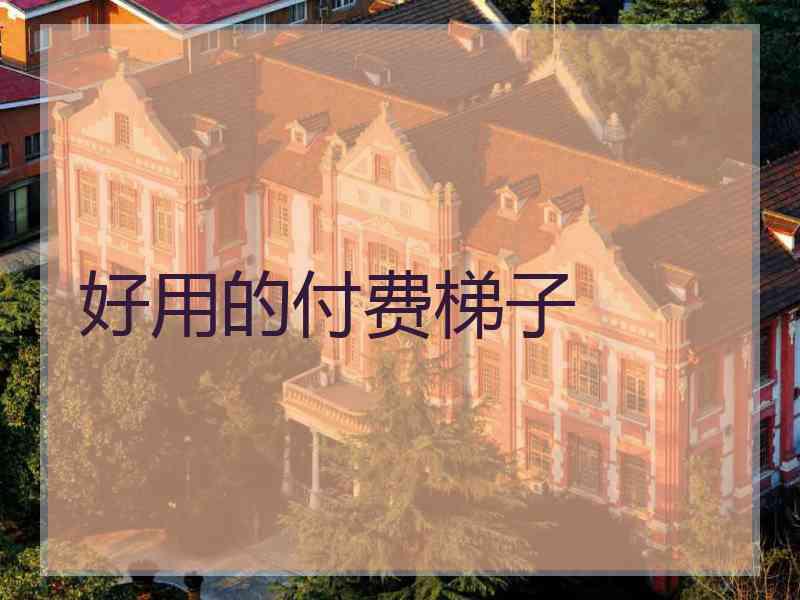 好用的付费梯子
