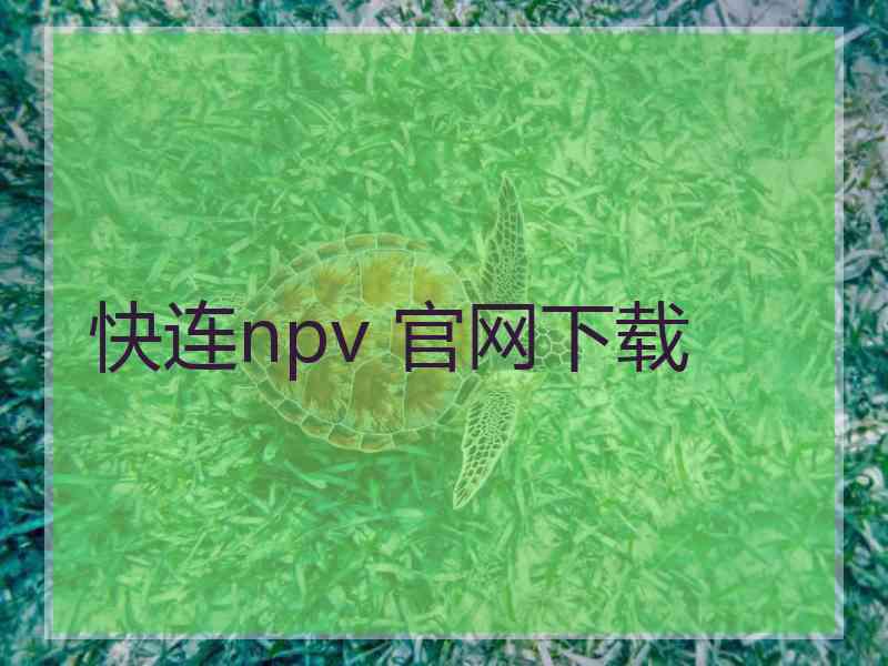 快连npv 官网下载