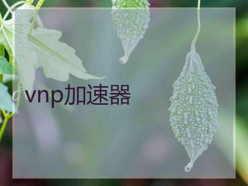 vnp加速器