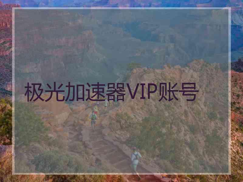 极光加速器VIP账号