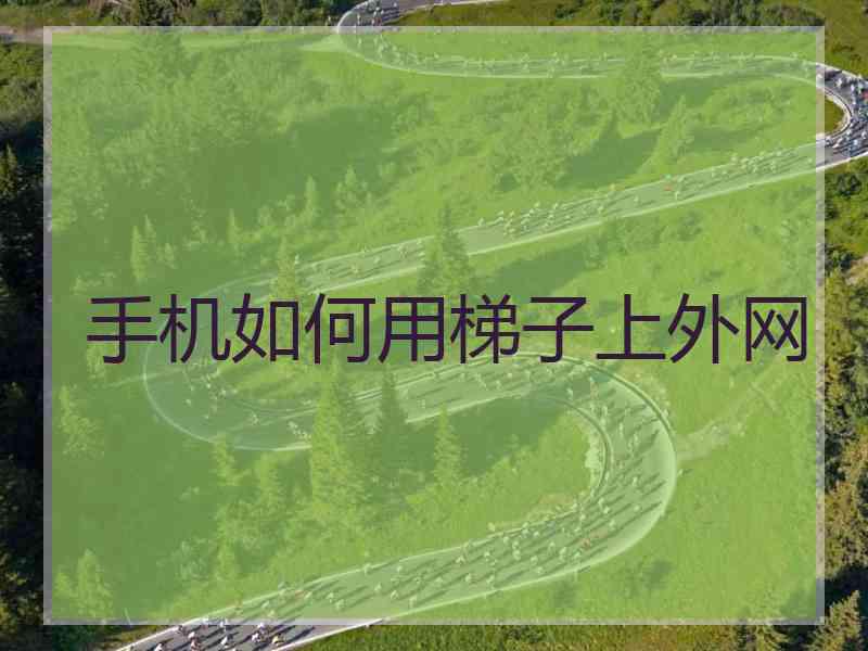 手机如何用梯子上外网