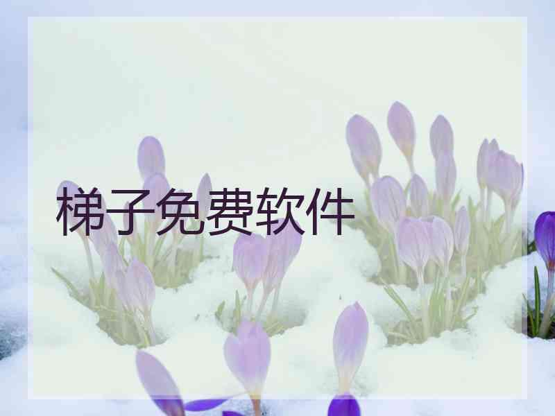 梯子免费软件