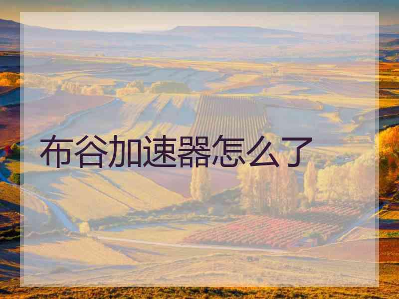 布谷加速器怎么了