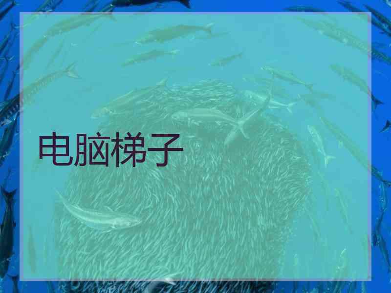 电脑梯子