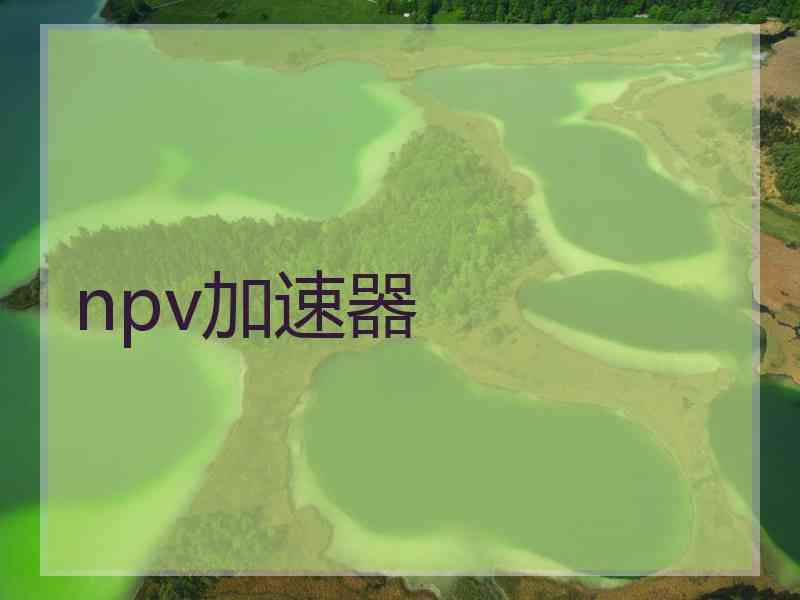 npv加速器