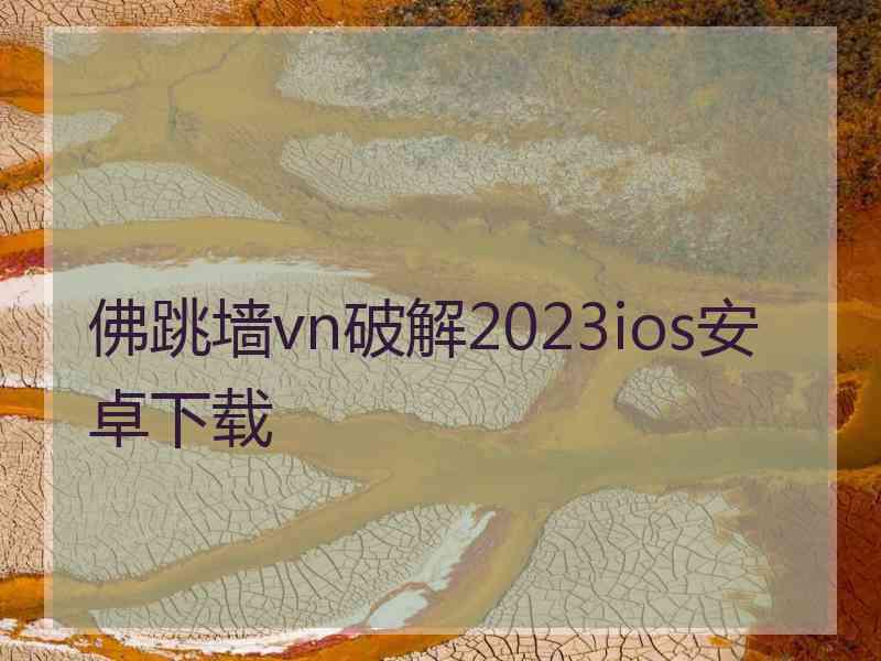 佛跳墙vn破解2023ios安卓下载