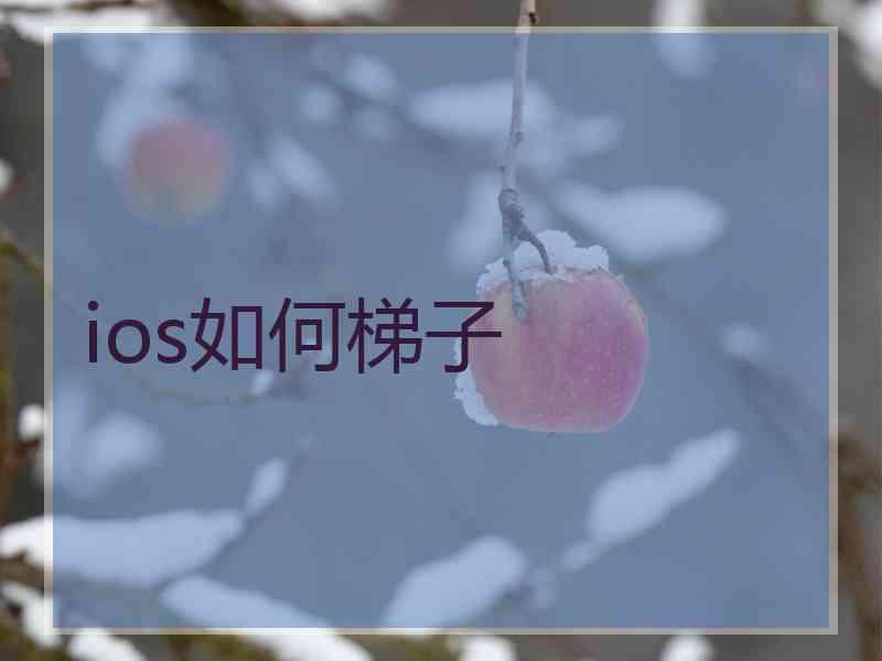ios如何梯子