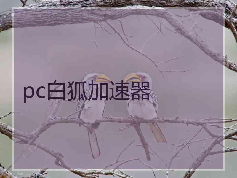 pc白狐加速器