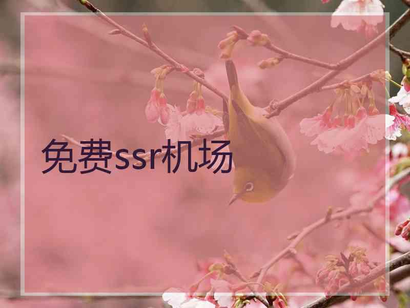 免费ssr机场