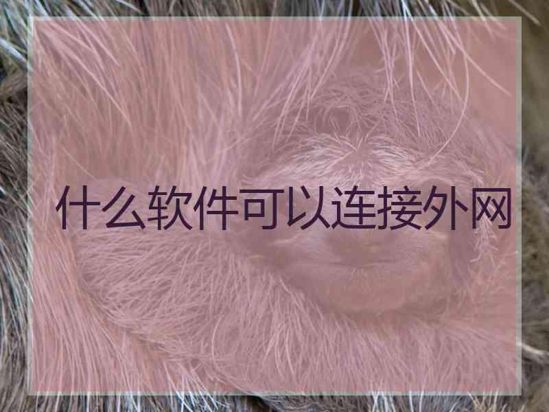 什么软件可以连接外网
