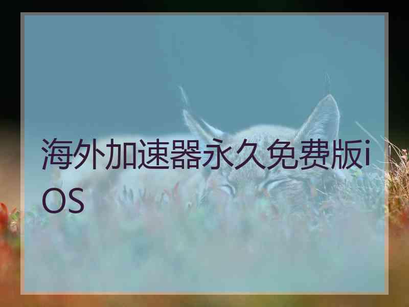 海外加速器永久免费版iOS