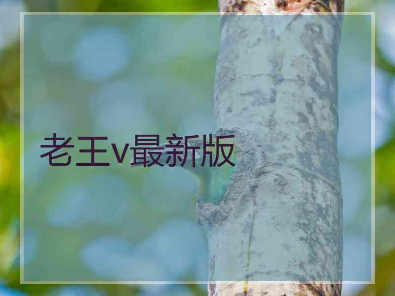 老王v最新版
