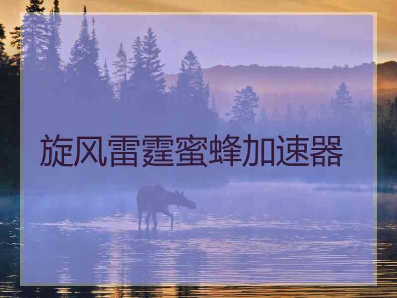 旋风雷霆蜜蜂加速器