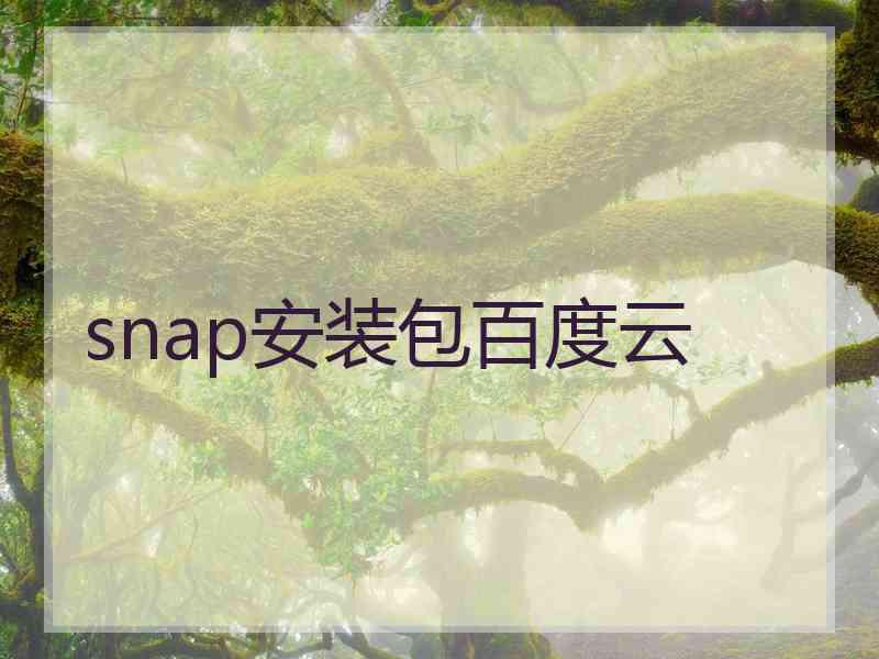 snap安装包百度云