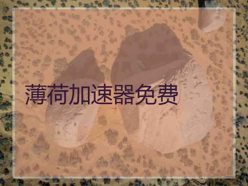薄荷加速器免费