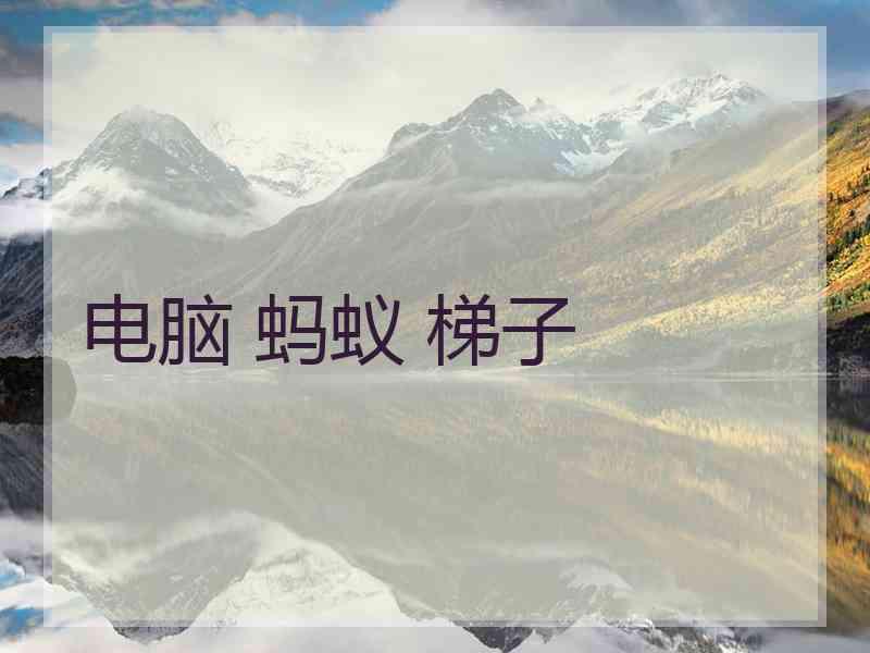 电脑 蚂蚁 梯子