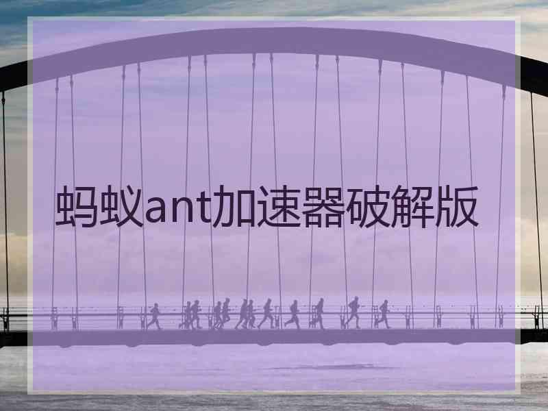 蚂蚁ant加速器破解版