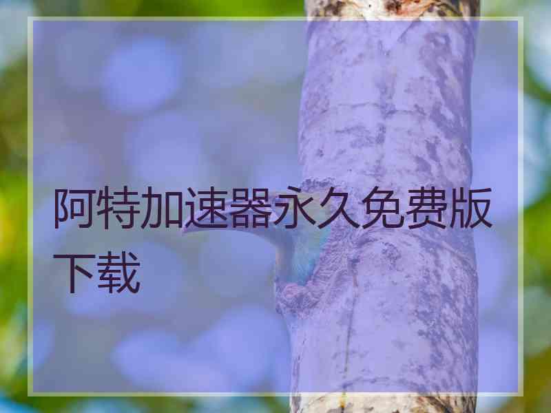 阿特加速器永久免费版下载