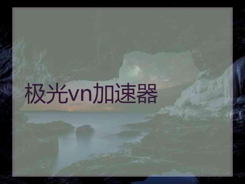极光vn加速器