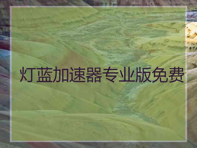 灯蓝加速器专业版免费