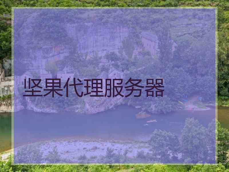 坚果代理服务器