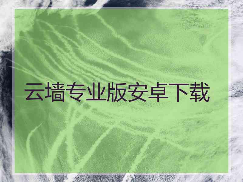云墙专业版安卓下载