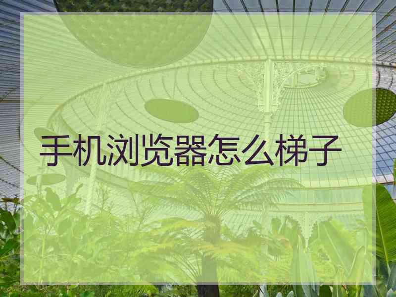 手机浏览器怎么梯子
