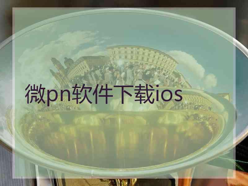 微pn软件下载ios