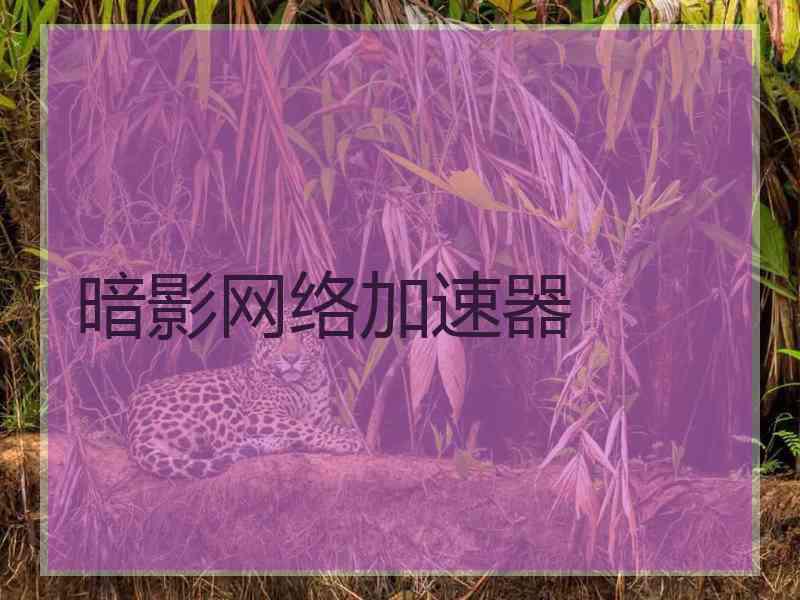 暗影网络加速器