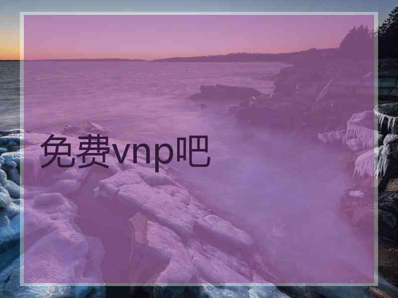免费vnp吧