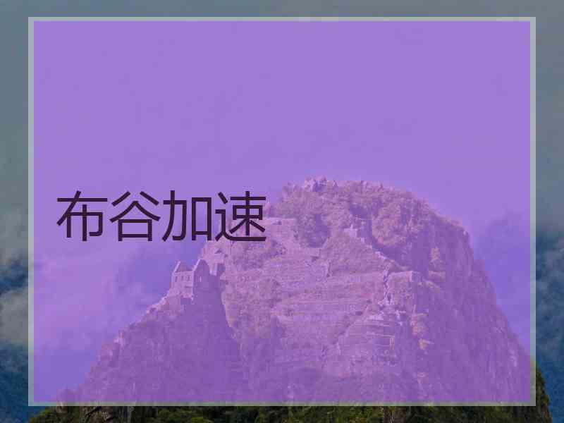 布谷加速