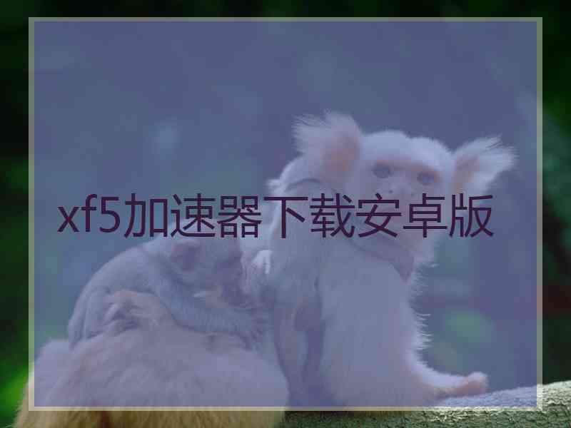 xf5加速器下载安卓版