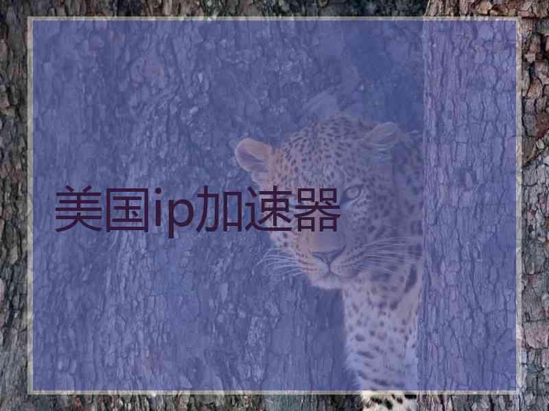 美国ip加速器