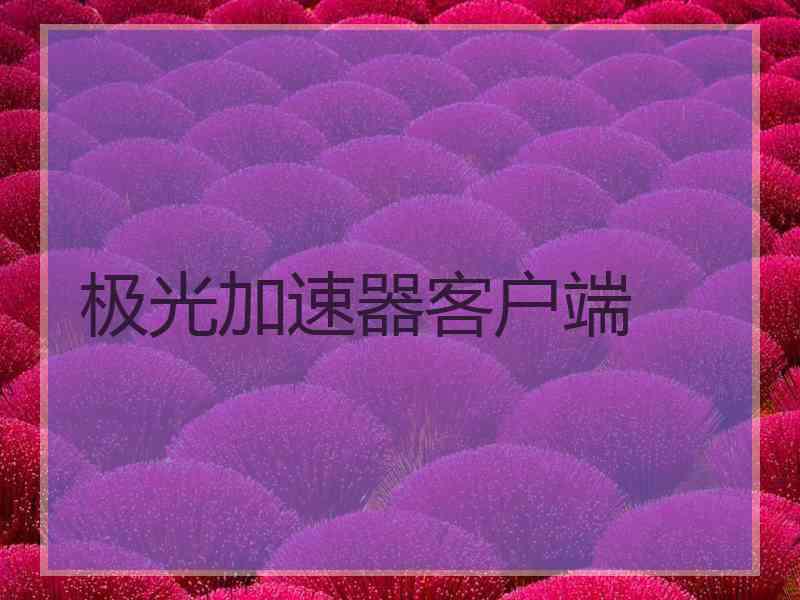 极光加速器客户端