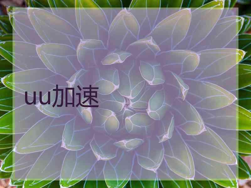 uu加速