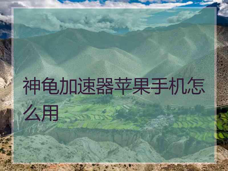 神龟加速器苹果手机怎么用
