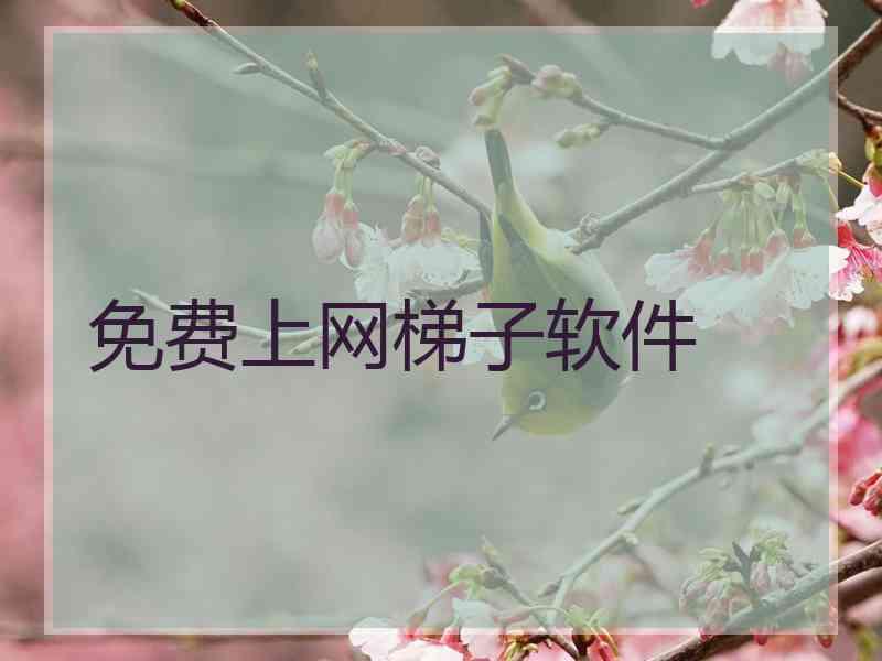 免费上网梯子软件