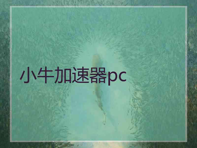 小牛加速器pc