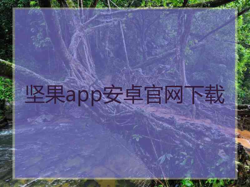 坚果app安卓官网下载