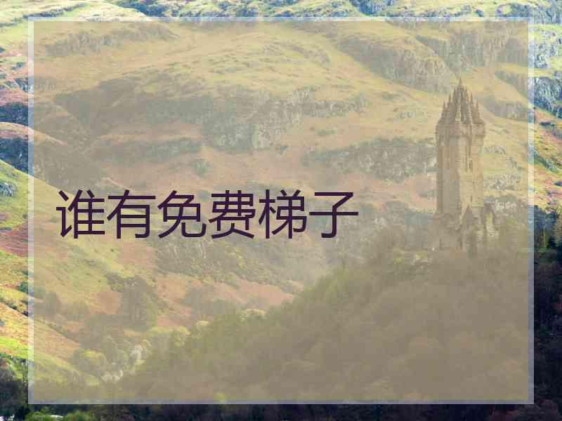 谁有免费梯子