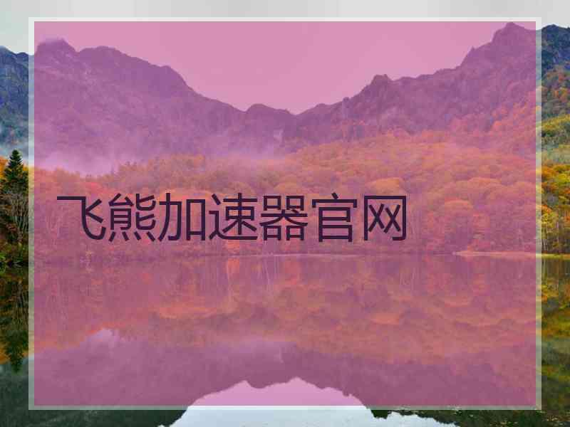 飞熊加速器官网
