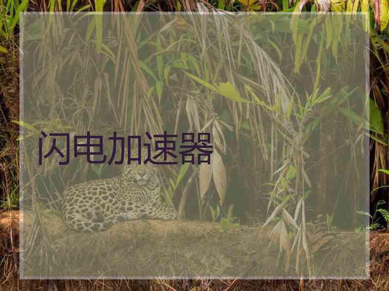 闪电加速器