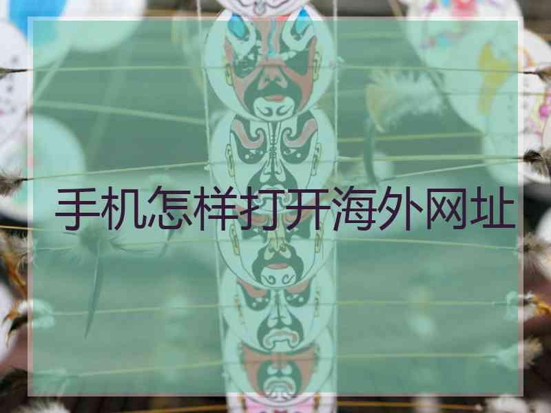手机怎样打开海外网址