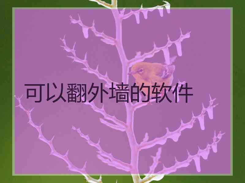 可以翻外墙的软件
