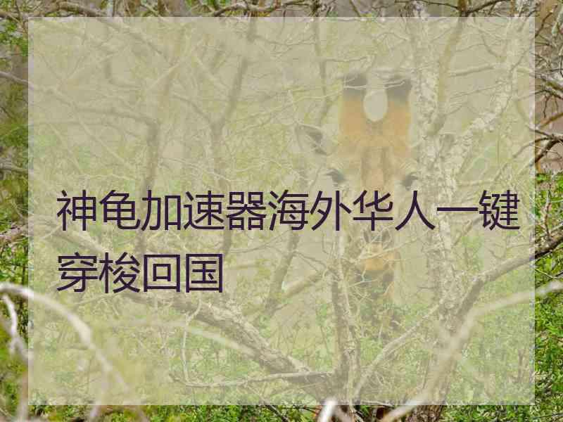 神龟加速器海外华人一键穿梭回国